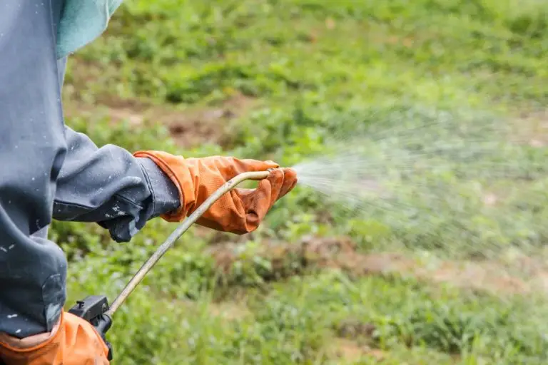 Jury Monsanto verdict