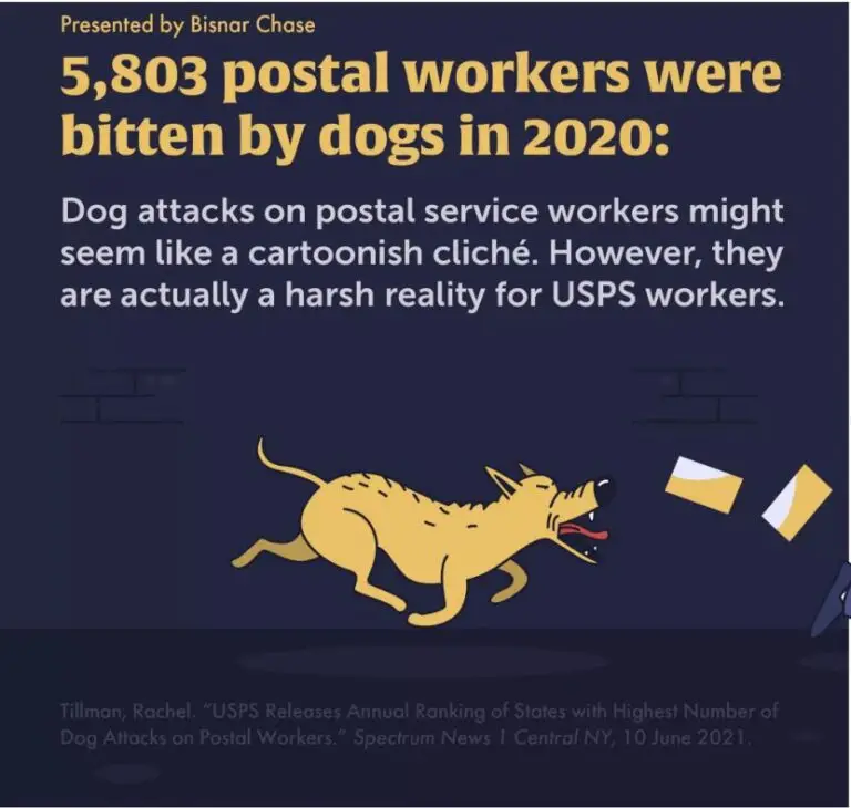 Dog attacks on postal carriers