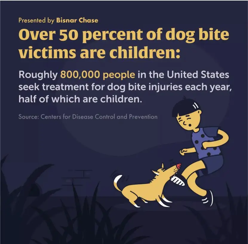 Dog bite injuries in children